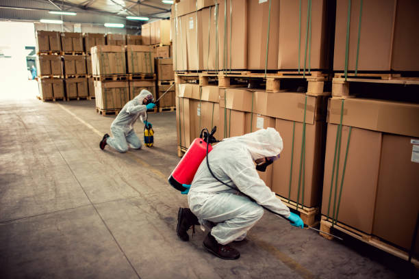 Best Best Pest Control Companies  in Hoisington, KS