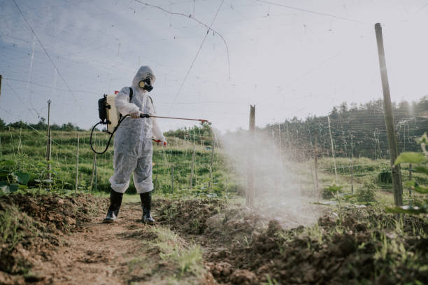 Best Local Pest Control Services  in Hoisington, KS