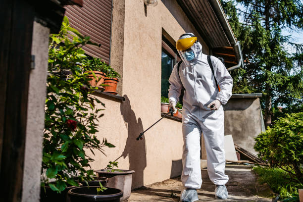 Best Residential Pest Control  in Hoisington, KS