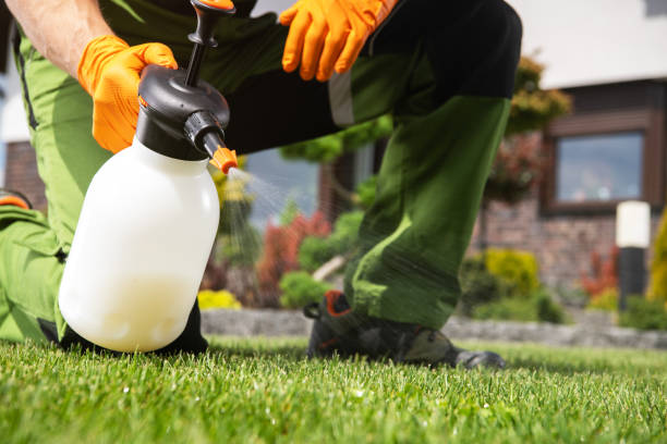Best Pest Removal Services  in Hoisington, KS