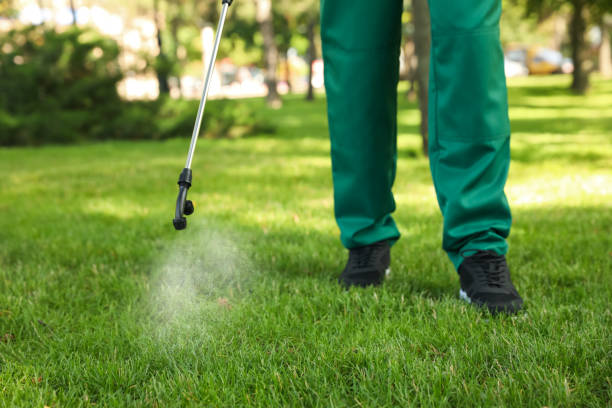 Best Termite Control Services  in Hoisington, KS