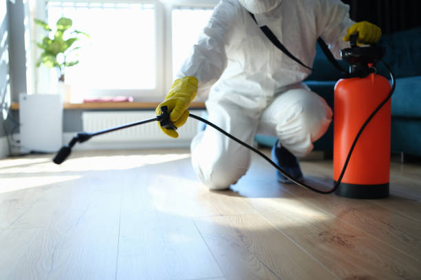 Professional Pest Control in Hoisington, KS
