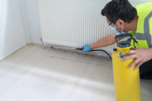 Best Affordable Pest Control Services  in Hoisington, KS